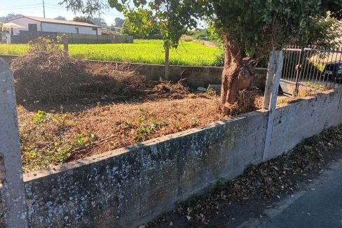 QjnzL_8-29